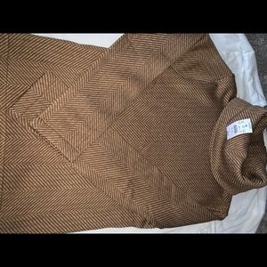 JCrew sweater